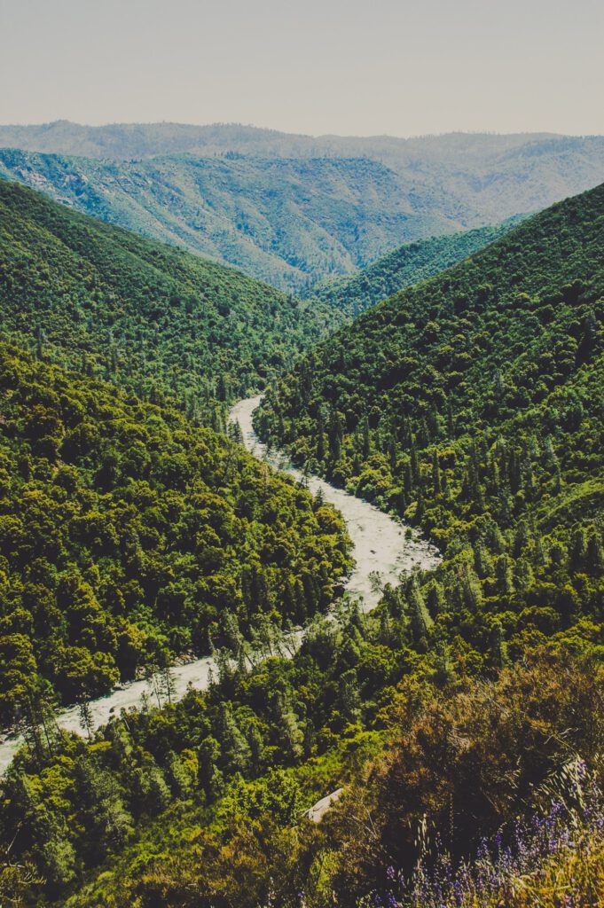 Fluss schlängelt sich durch ein bewaldetes Tal