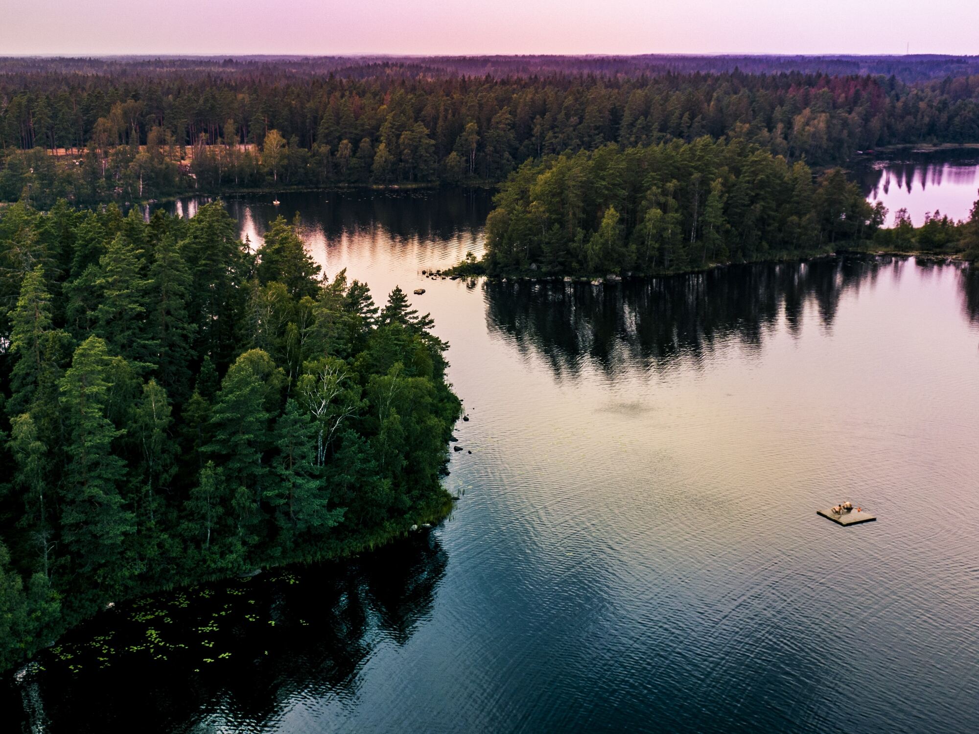 Waldsee mit kleinen Inseln im rosa Abendlicht, von oben